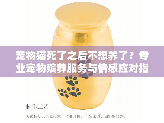 宠物猫死了之后不想养了？专业宠物殡葬服务与情感应对指南