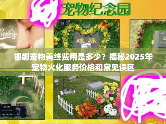 邯郸宠物善终费用是多少？揭秘2025年宠物火化服务价格和常见误区