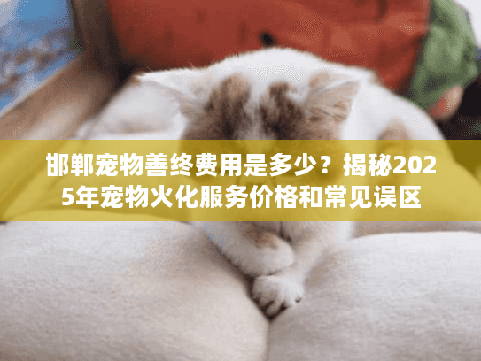 邯郸宠物善终费用是多少？揭秘2025年宠物火化服务价格和常见误区