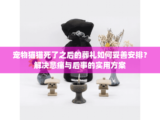 宠物猫猫死了之后的葬礼如何妥善安排？解决悲痛与后事的实用方案