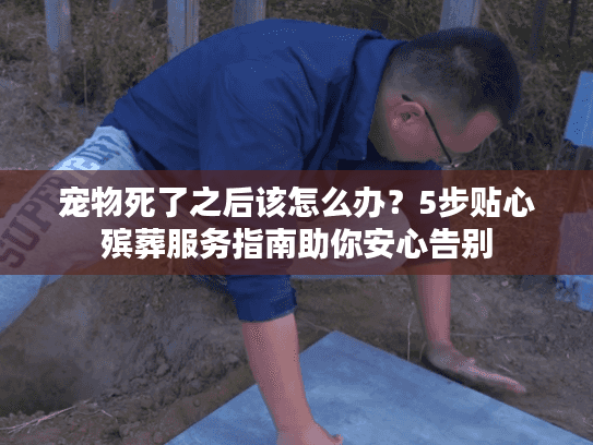 宠物死了之后该怎么办？5步贴心殡葬服务指南助你安心告别