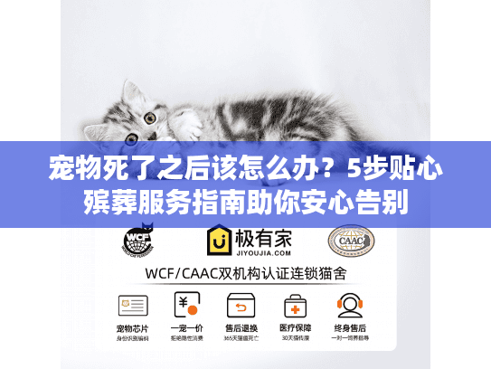 宠物死了之后该怎么办？5步贴心殡葬服务指南助你安心告别