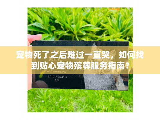 宠物死了之后难过一直哭，如何找到贴心宠物殡葬服务指南？