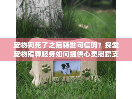 宠物狗死了之后转世可信吗？探索宠物殡葬服务如何提供心灵慰藉支持