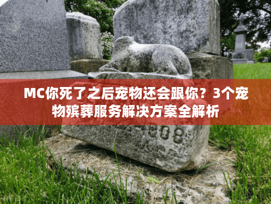 MC你死了之后宠物还会跟你？3个宠物殡葬服务解决方案全解析
