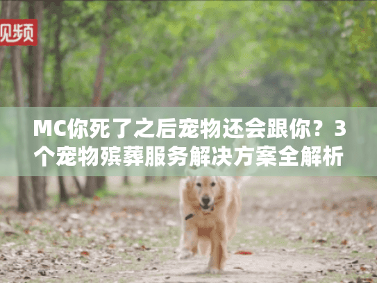 MC你死了之后宠物还会跟你？3个宠物殡葬服务解决方案全解析