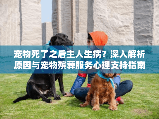 宠物死了之后主人生病？深入解析原因与宠物殡葬服务心理支持指南