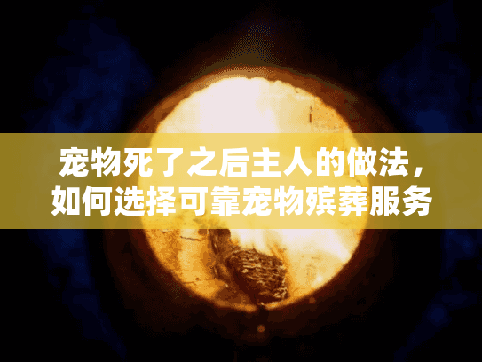 宠物死了之后主人的做法，如何选择可靠宠物殡葬服务？