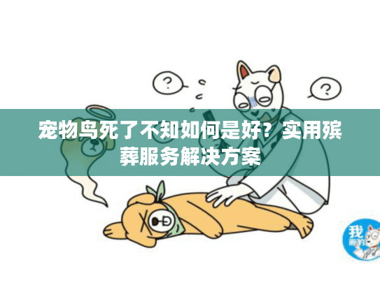宠物鸟死了不知如何是好？实用殡葬服务解决方案