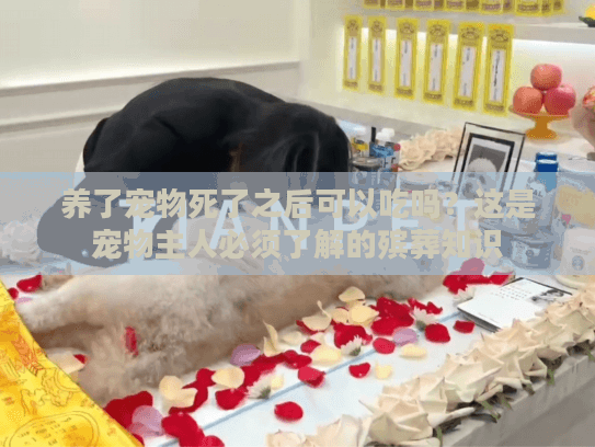 养了宠物死了之后可以吃吗？这是宠物主人必须了解的殡葬知识