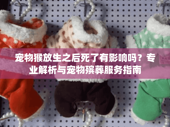 宠物猴放生之后死了有影响吗？专业解析与宠物殡葬服务指南