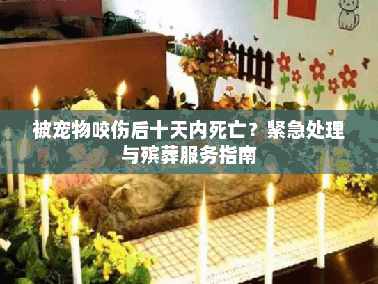被宠物咬伤后十天内死亡？紧急处理与殡葬服务指南