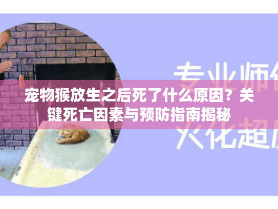 宠物猴放生之后死了什么原因？关键死亡因素与预防指南揭秘