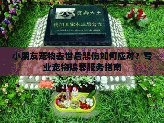 小朋友宠物去世后悲伤如何应对？专业宠物殡葬服务指南