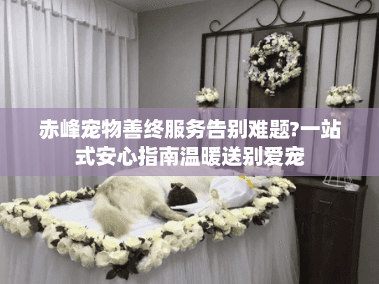 赤峰宠物善终服务告别难题?一站式安心指南温暖送别爱宠