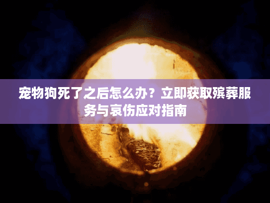 宠物狗死了之后怎么办？立即获取殡葬服务与哀伤应对指南