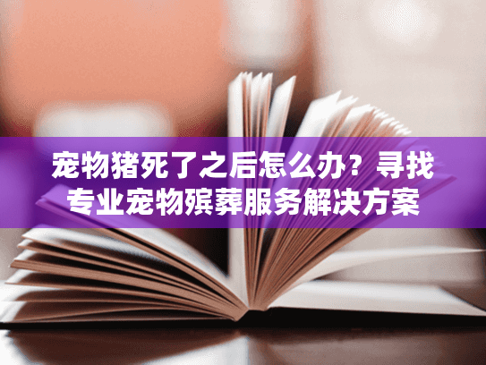 宠物猪死了之后怎么办？寻找专业宠物殡葬服务解决方案