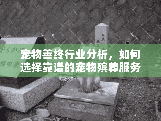 宠物善终行业分析，如何选择靠谱的宠物殡葬服务？