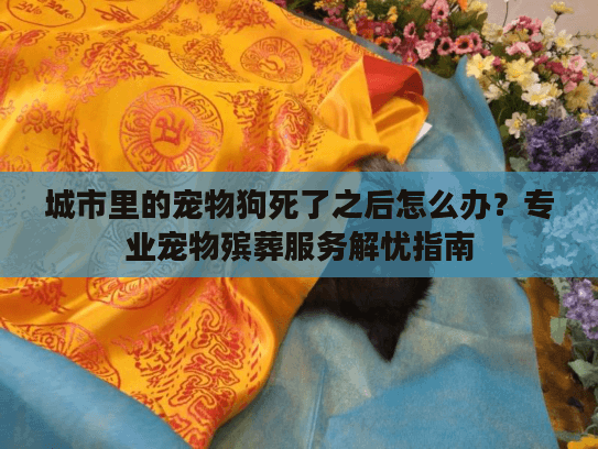 城市里的宠物狗死了之后怎么办？专业宠物殡葬服务解忧指南