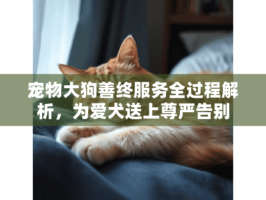 宠物大狗善终服务全过程解析，为爱犬送上尊严告别