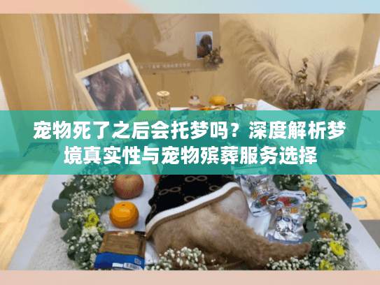 宠物死了之后会托梦吗？深度解析梦境真实性与宠物殡葬服务选择