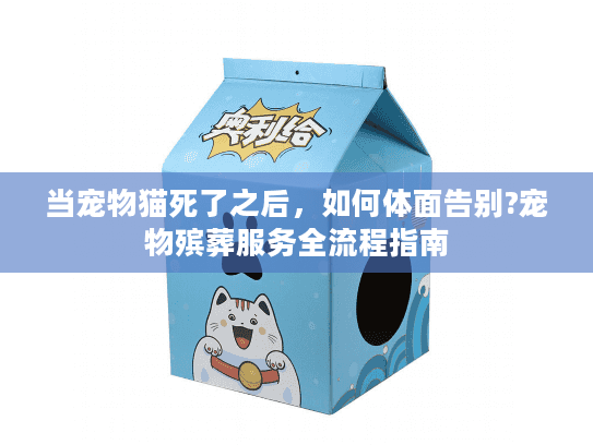 当宠物猫死了之后，如何体面告别?宠物殡葬服务全流程指南