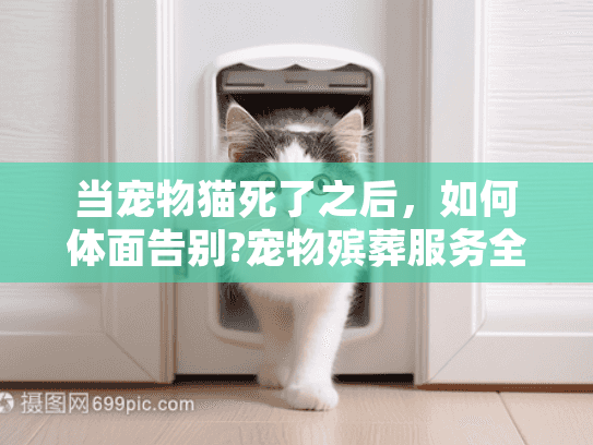 当宠物猫死了之后，如何体面告别?宠物殡葬服务全流程指南