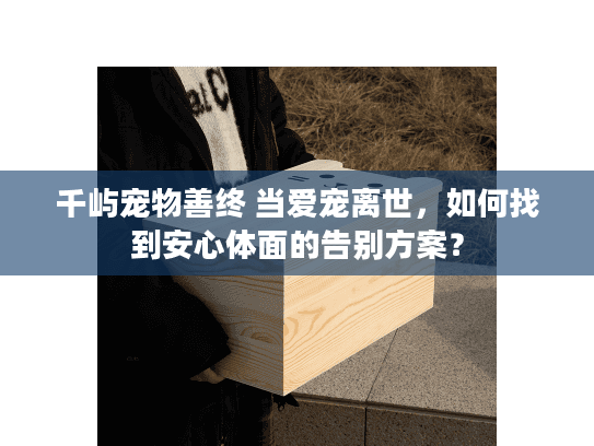 千屿宠物善终 当爱宠离世，如何找到安心体面的告别方案？
