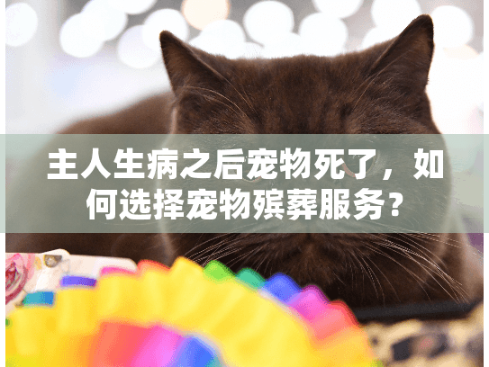 主人生病之后宠物死了，如何选择宠物殡葬服务？