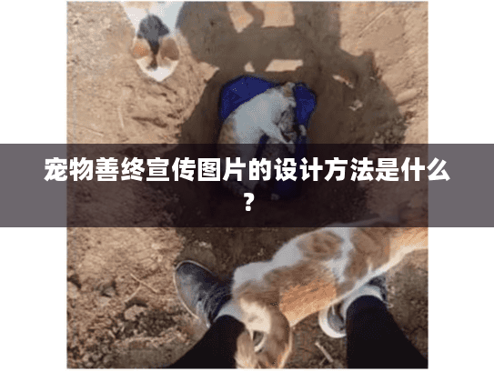 宠物善终宣传图片的设计方法是什么？