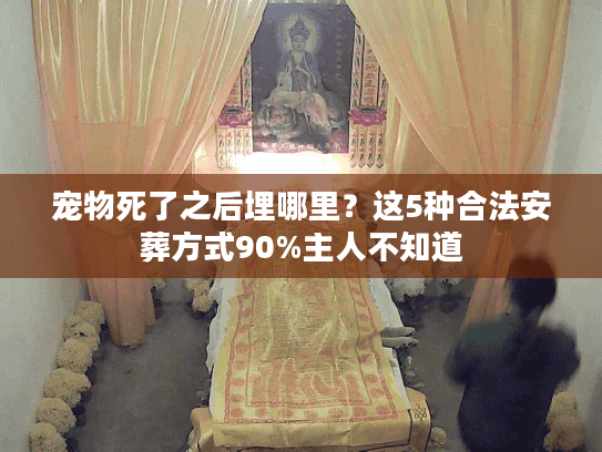 宠物死了之后埋哪里？这5种合法安葬方式90%主人不知道
