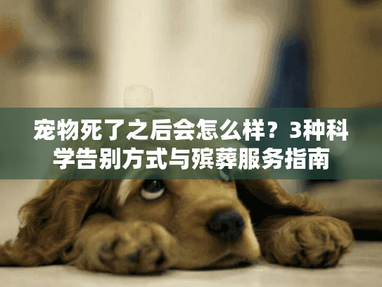 宠物死了之后会怎么样？3种科学告别方式与殡葬服务指南