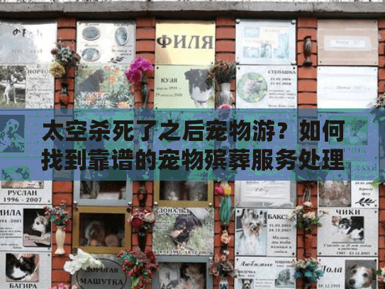 太空杀死了之后宠物游？如何找到靠谱的宠物殡葬服务处理宠物后事