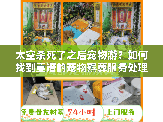 太空杀死了之后宠物游？如何找到靠谱的宠物殡葬服务处理宠物后事