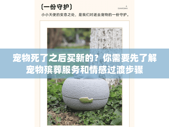 宠物死了之后买新的？你需要先了解宠物殡葬服务和情感过渡步骤