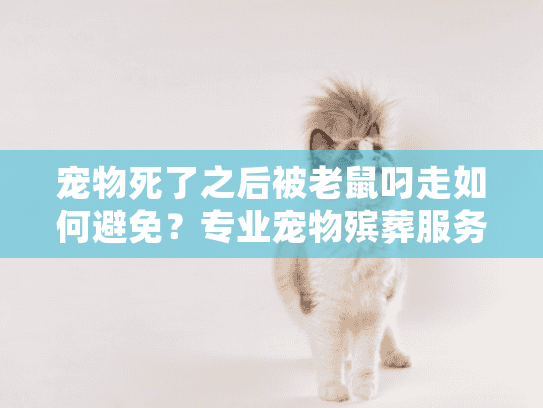 宠物死了之后被老鼠叼走如何避免？专业宠物殡葬服务全程防护指南