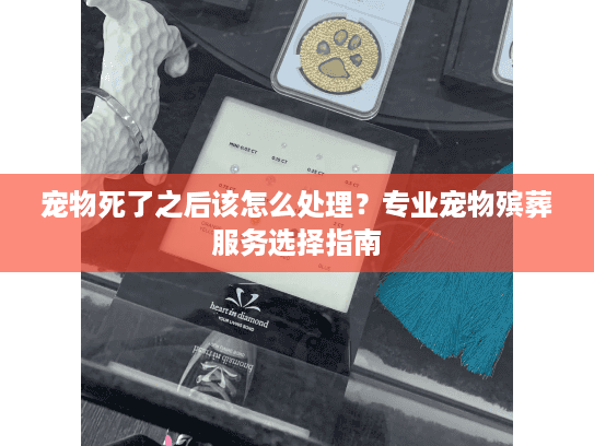 宠物死了之后该怎么处理？专业宠物殡葬服务选择指南