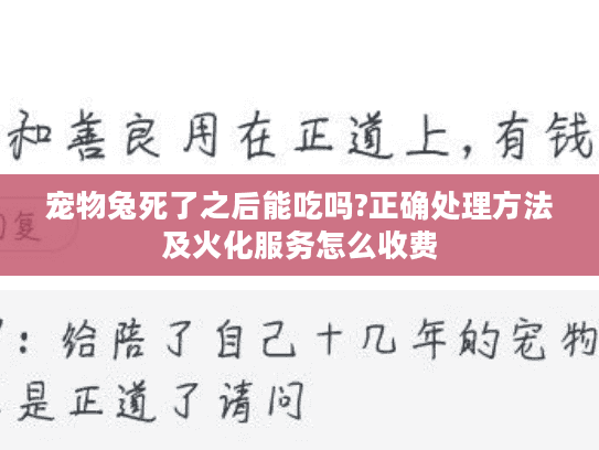 宠物兔死了之后能吃吗?正确处理方法及火化服务怎么收费