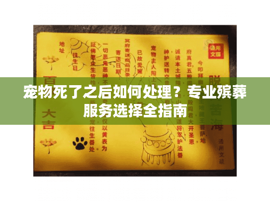 宠物死了之后如何处理？专业殡葬服务选择全指南