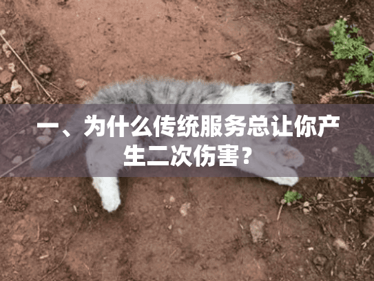 一、为什么传统服务总让你产生二次伤害？