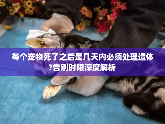 每个宠物死了之后是几天内必须处理遗体?告别时限深度解析