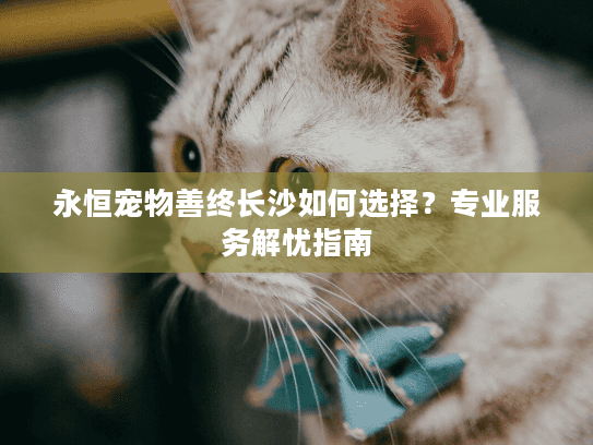 永恒宠物善终长沙如何选择？专业服务解忧指南
