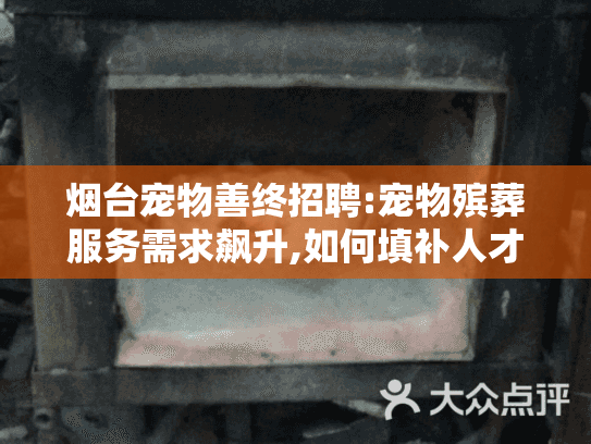 烟台宠物善终招聘:宠物殡葬服务需求飙升,如何填补人才缺口?