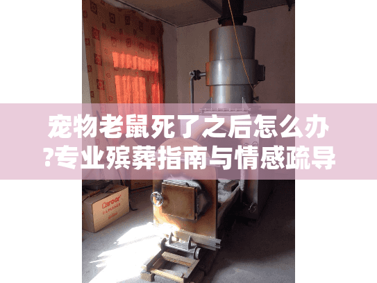 宠物老鼠死了之后怎么办?专业殡葬指南与情感疏导