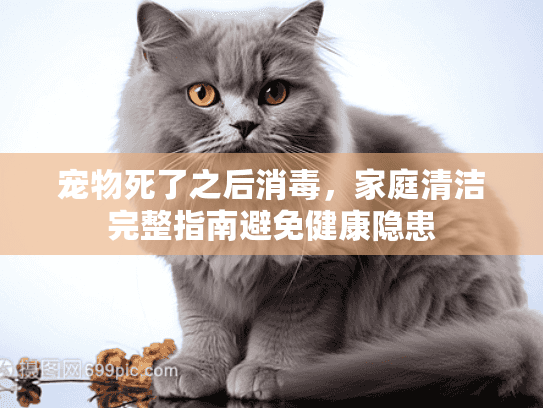 宠物死了之后消毒，家庭清洁完整指南避免健康隐患