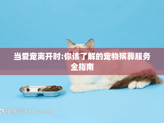 当爱宠离开时:你该了解的宠物殡葬服务全指南