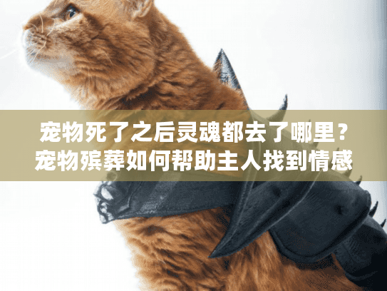 宠物死了之后灵魂都去了哪里?宠物殡葬如何帮助主人找到情感慰藉 宠物死了之后灵魂都去了哪里?宠物殡葬如何帮助主人找到情感慰藉