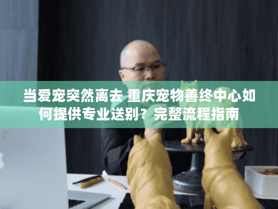 当爱宠突然离去 重庆宠物善终中心如何提供专业送别？完整流程指南