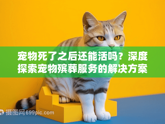 宠物死了之后还能活吗？深度探索宠物殡葬服务的解决方案