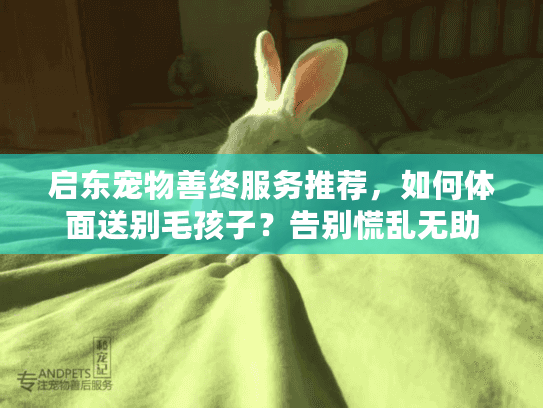 启东宠物善终服务推荐，如何体面送别毛孩子？告别慌乱无助